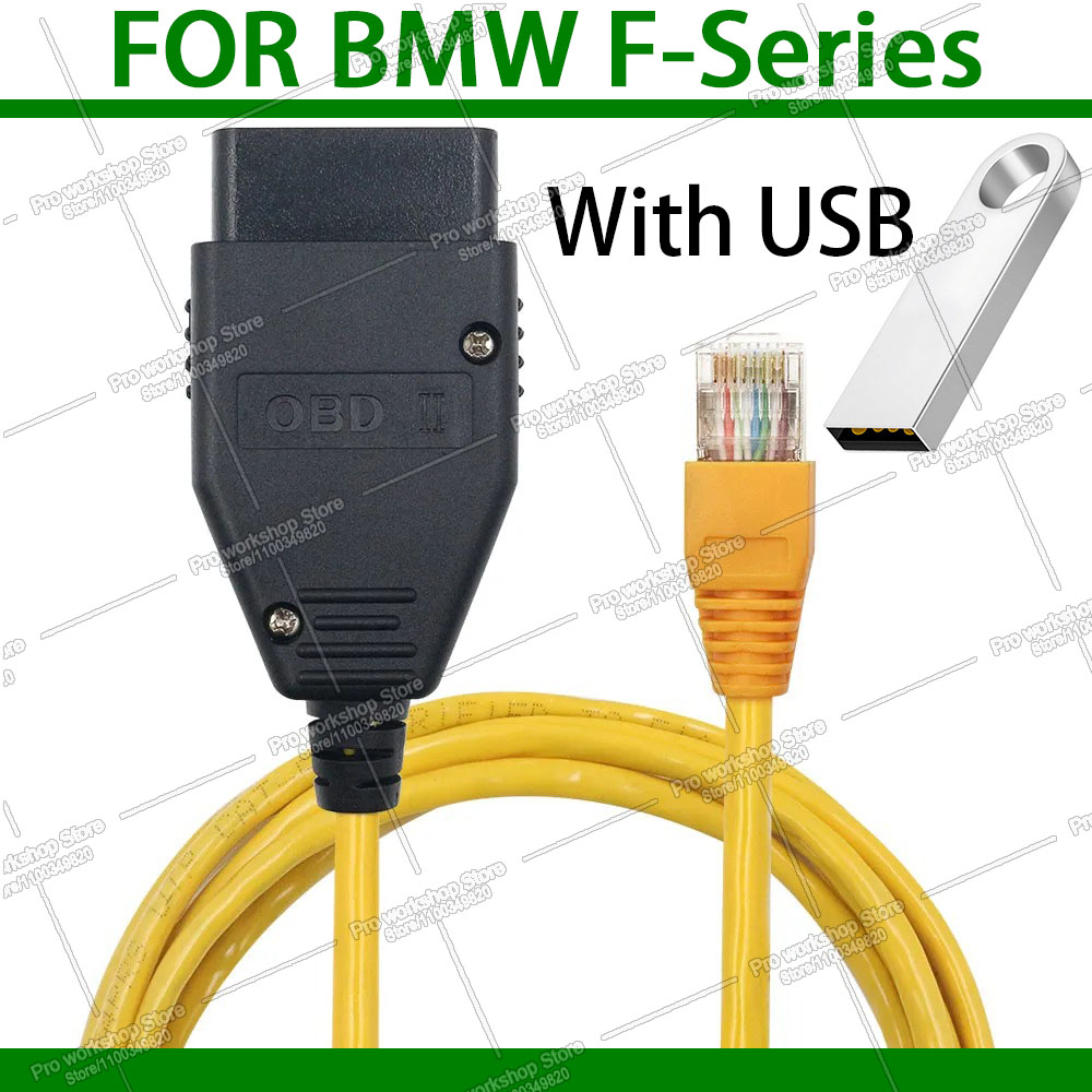 Ecu Programmer For Bmw F Series - BMW F G 시리즈 ESYS INPA