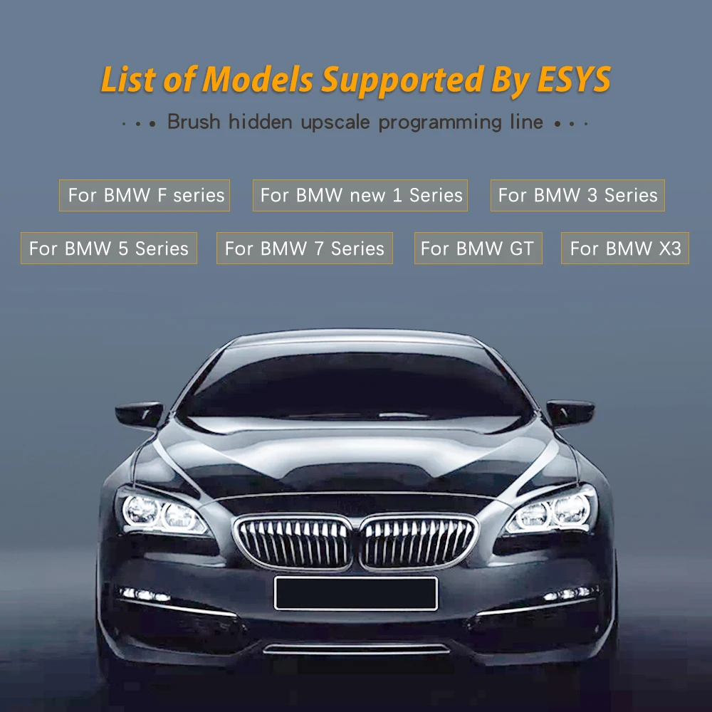 전문가용 ENET 케이블 E-SYS ICD 코딩 도구  - Ecu Programmer For Bmw F Series 리뷰 및 가격