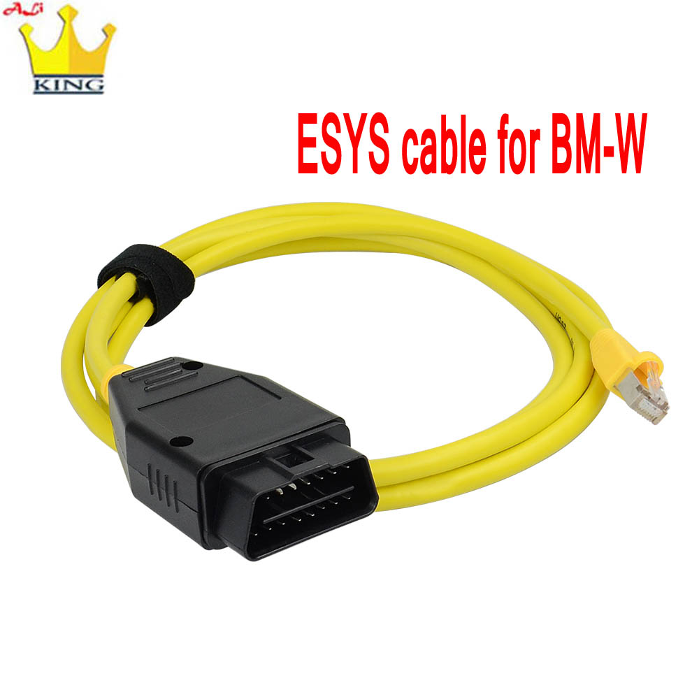 BMW 히든 데이터 E-SYS ICOM 코딩 ECU 프 - Ecu Programmer For Bmw F Series 리뷰 및 가격